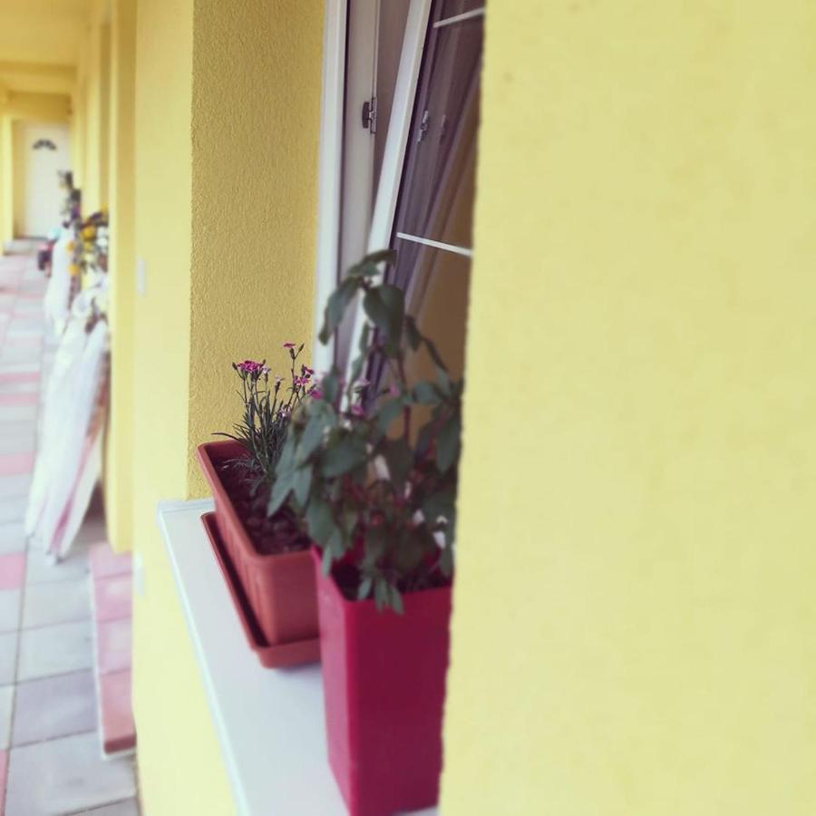 Bed and Breakfast Zlatno 66 Zlaté Moravce Zewnętrze zdjęcie
